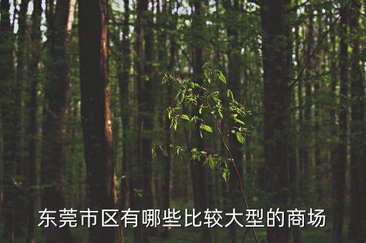 東莞大型的實景案例，東莞市區(qū)有哪些比較大型的商場