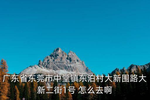 廣東省東莞市中堂鎮(zhèn)東泊村大新圍路大新二街1號(hào) 怎么去啊