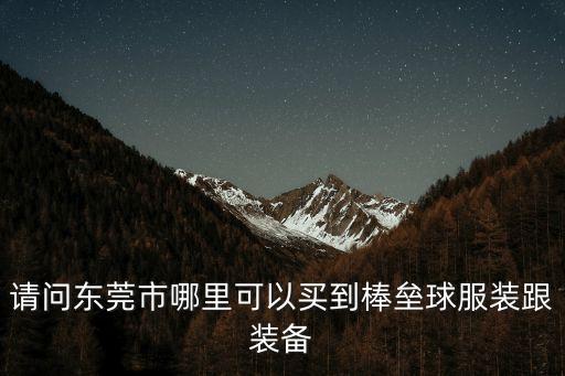 東莞俊熙體育運動用品，請問東莞市哪里可以買到棒壘球服裝跟裝備