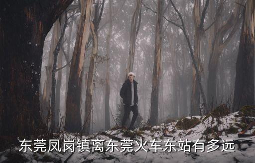 東莞鳳崗鎮(zhèn)離東莞哪個地鐵最近，東莞鳳崗附近那里有地鐵站