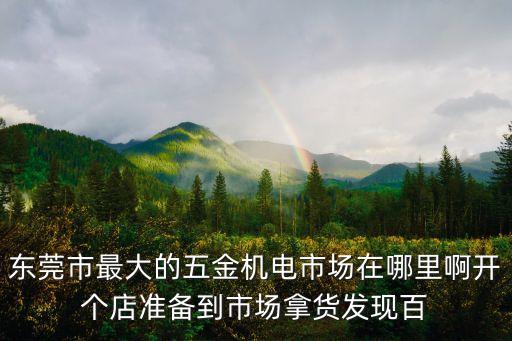東莞市最大的五金機電市場在哪里啊開個店準備到市場拿貨發現百