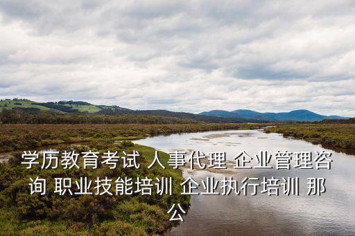 學(xué)歷教育考試 人事代理 企業(yè)管理咨詢 職業(yè)技能培訓(xùn) 企業(yè)執(zhí)行培訓(xùn) 那公