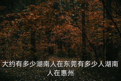 大約有多少湖南人在東莞有多少人湖南人在惠州
