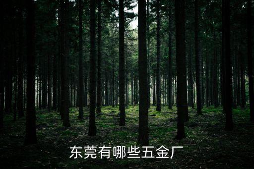 東莞常平鎮瑞基五金制品有限公司，東莞有哪些五金廠