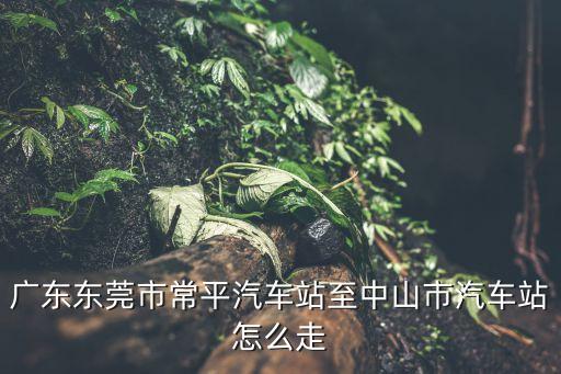 廣東東莞市常平汽車站至中山市汽車站怎么走