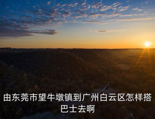 東莞望牛墩到白云機場大巴，從東莞怎樣乘車可以去到廣州新白云機場