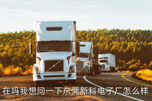 在嗎我想問一下東莞新科電子廠怎么樣
