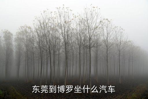 東莞到博羅坐什么汽車