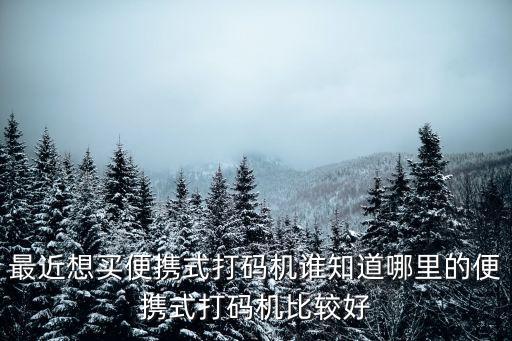 最近想買便攜式打碼機誰知道哪里的便攜式打碼機比較好