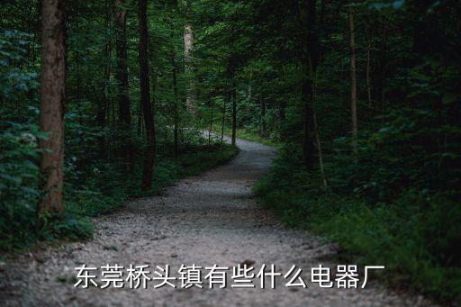 東莞橋頭鎮有些什么電器廠
