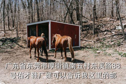 東莞厚街佑能鞋廠，東莞厚街有哪些鞋廠