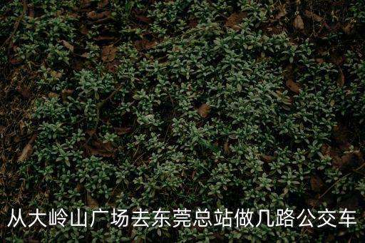 從大嶺山廣場去東莞總站做幾路公交車