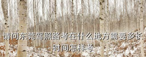 請問東莞駕照路考在什么地方需要多長時間怎樣考
