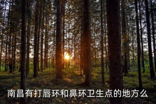 東莞醫(yī)用手環(huán)，南昌有打唇環(huán)和鼻環(huán)衛(wèi)生點(diǎn)的地方么
