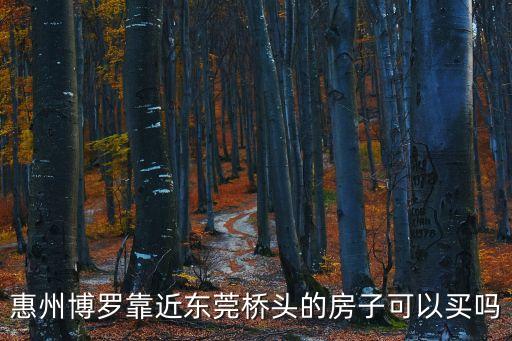 惠州博羅靠近東莞橋頭的房子可以買嗎