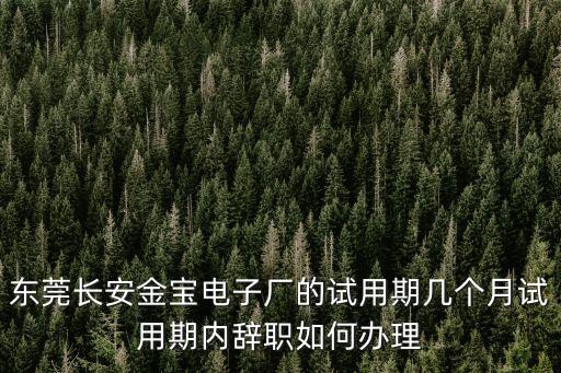 東莞金寶電子廠多少錢，長安金寶電子廠工資有多少