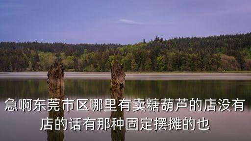 急啊東莞市區哪里有賣糖葫蘆的店沒有店的話有那種固定擺攤的也