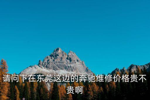 東莞寮步汽配城維修便宜嗎，請問下在東莞這邊的奔馳維修價格貴不貴啊
