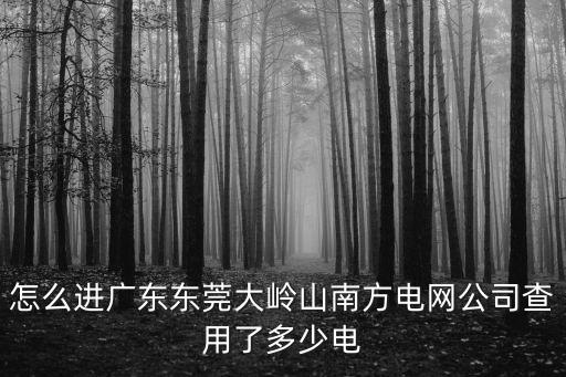怎么進廣東東莞大嶺山南方電網公司查用了多少電