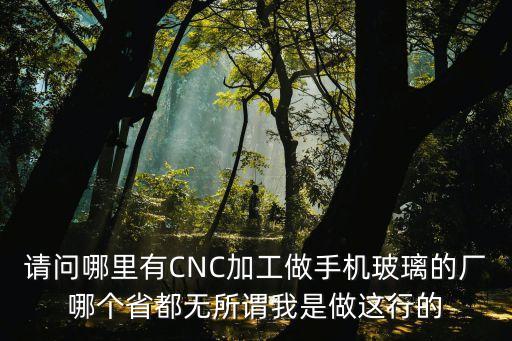 請問哪里有CNC加工做手機玻璃的廠哪個省都無所謂我是做這行的
