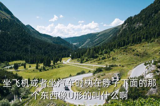 東莞u型充氣旅行枕頭包裝，坐飛機(jī)或者坐汽車時枕在脖子下面的那個東西像U形的叫什么啊