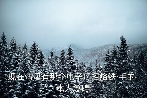 現(xiàn)在清溪有那個電子廠招烙鐵 手的 本人急聘