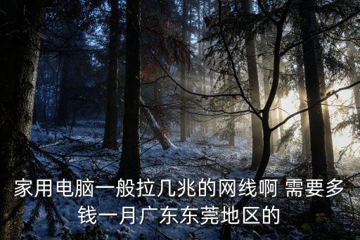 家用電腦一般拉幾兆的網線啊 需要多錢一月廣東東莞地區的