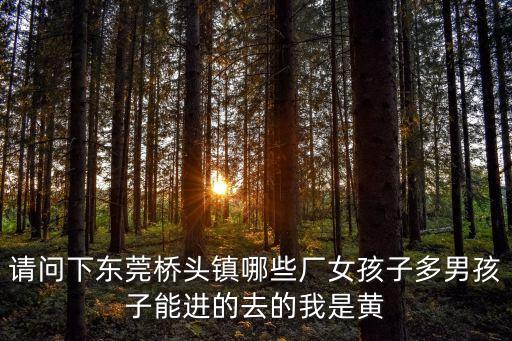 請問下東莞橋頭鎮哪些廠女孩子多男孩子能進的去的我是黃