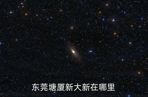 東莞塘廈新大新在哪里