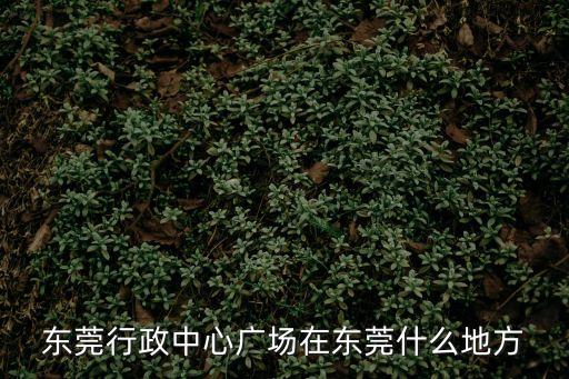 東莞行政中心廣場在東莞什么地方
