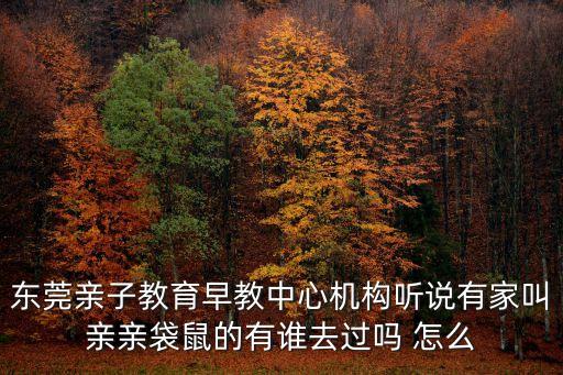 東莞坑口幼兒園怎么樣，東莞莞城哪些非公辦幼兒園好怎么報讀