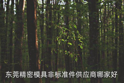 東莞精密模具非標準件供應商哪家好