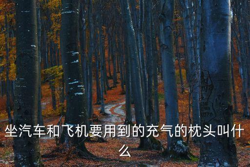 坐汽車和飛機要用到的充氣的枕頭叫什么