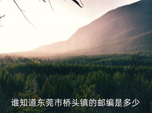 東莞市橋頭鎮嶺頭郵編是多少，東莞橋頭鎮的郵編是多少啊