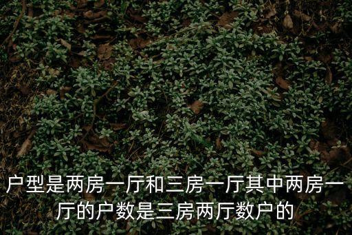戶型是兩房一廳和三房一廳其中兩房一廳的戶數(shù)是三房?jī)蓮d數(shù)戶的