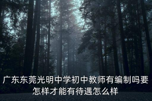 廣東東莞光明中學初中教師有編制嗎要怎樣才能有待遇怎么樣