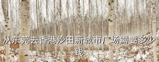從東莞去香港沙田新城市廣場需要多少錢