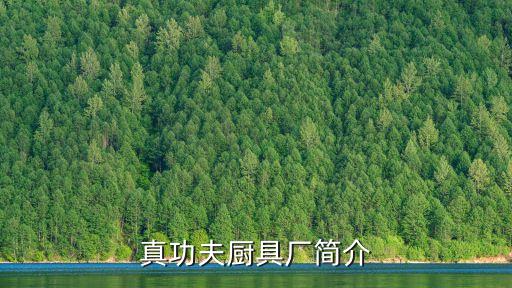 真功夫廚具廠簡介