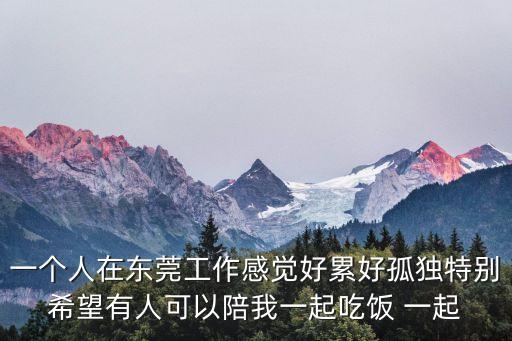 一個人在東莞工作感覺好累好孤獨特別希望有人可以陪我一起吃飯 一起