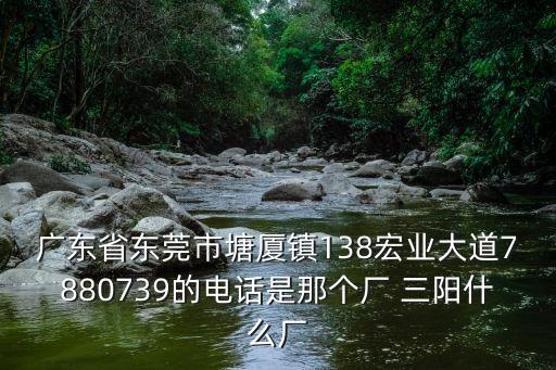 廣東省東莞市塘廈鎮138宏業大道7880739的電話是那個廠 三陽什么廠