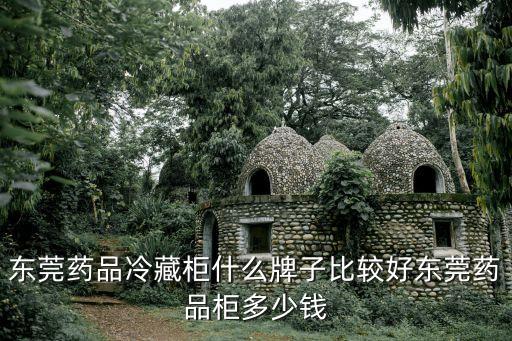 東莞藥品冷藏柜什么牌子比較好東莞藥品柜多少錢