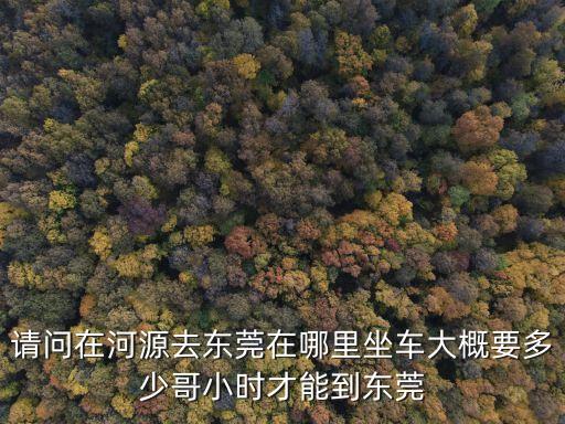 請問在河源去東莞在哪里坐車大概要多少哥小時才能到東莞