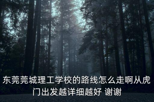 東莞莞城理工學校的路線怎么走啊從虎門出發越詳細越好 謝謝