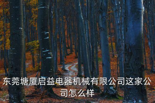 東莞塘廈啟益電器機械有限公司這家公司怎么樣