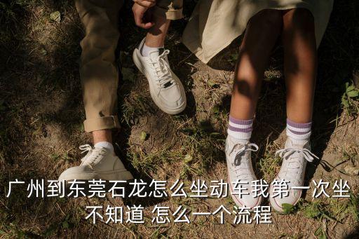 廣州至東莞石龍動車，廣州到東莞石龍怎么坐動車我第一次坐不知道 怎么一個流程