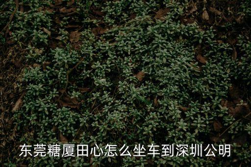 東莞糖廈田心怎么坐車到深圳公明