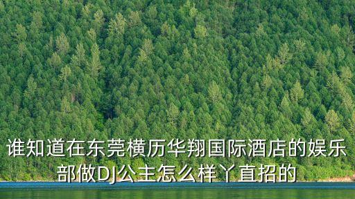 誰知道在東莞橫歷華翔國際酒店的娛樂部做DJ公主怎么樣丫直招的