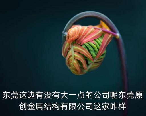 東莞這邊有沒有大一點(diǎn)的公司呢東莞原創(chuàng)金屬結(jié)構(gòu)有限公司這家咋樣