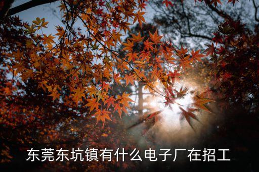 東莞東坑鎮(zhèn)有什么電子廠在招工