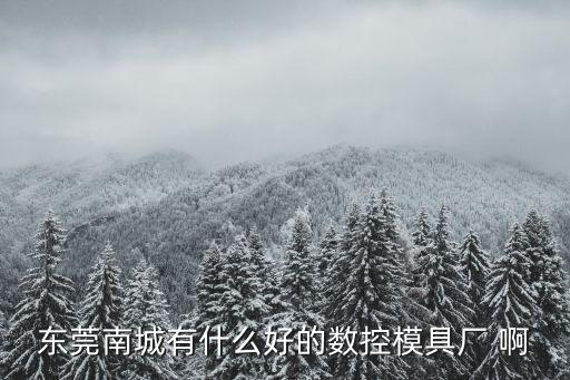 東莞南城有什么好的數控模具廠 啊
